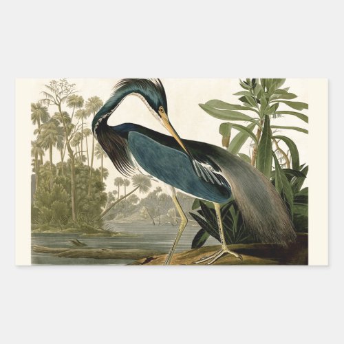 Audubon Louisiana Heron Birds America Art Rectangular Sticker