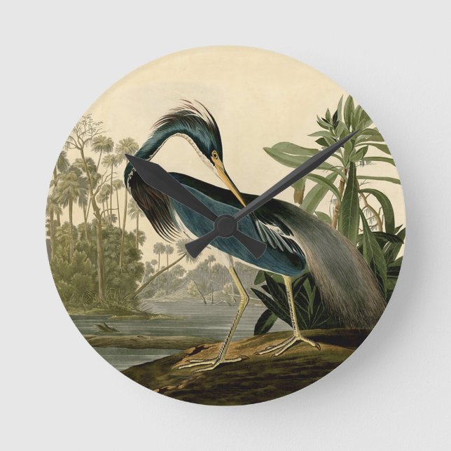 Audubon Louisiana Heron Birds America Art Round Clock (Front)