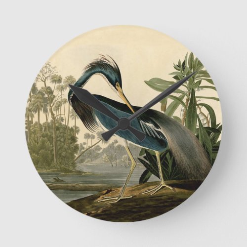 Audubon Louisiana Heron Birds America Art Round Clock