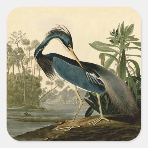 Audubon Louisiana Heron Birds America Art Square Sticker