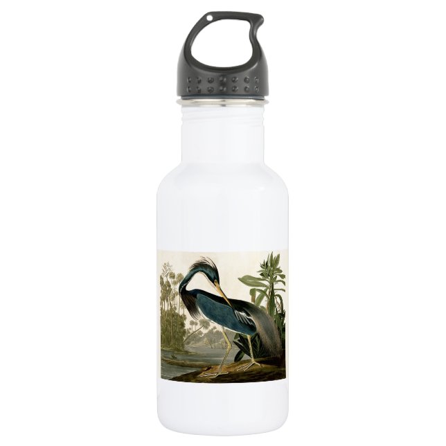 Audubon Louisiana Heron Birds America Art Stainless Steel Water Bottle (Front)