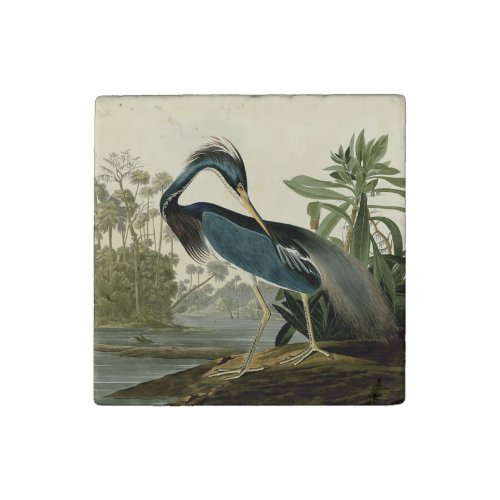 Audubon Louisiana Heron Birds America Art Stone Magnet