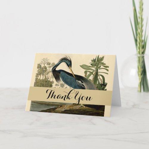 Audubon Louisiana Heron Birds America Art Thank You Card