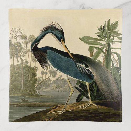 Audubon Louisiana Heron Birds America Art Trinket Tray