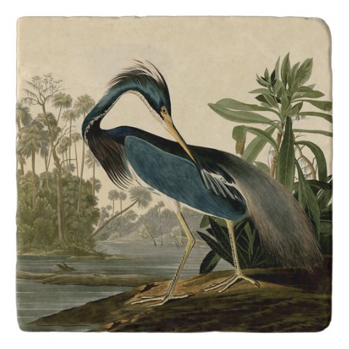 Audubon Louisiana Heron Birds America Art Trivet