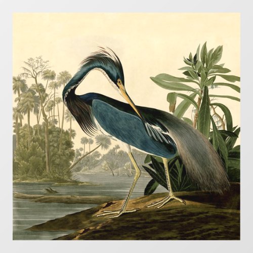 Audubon Louisiana Heron Birds America Art Window Cling