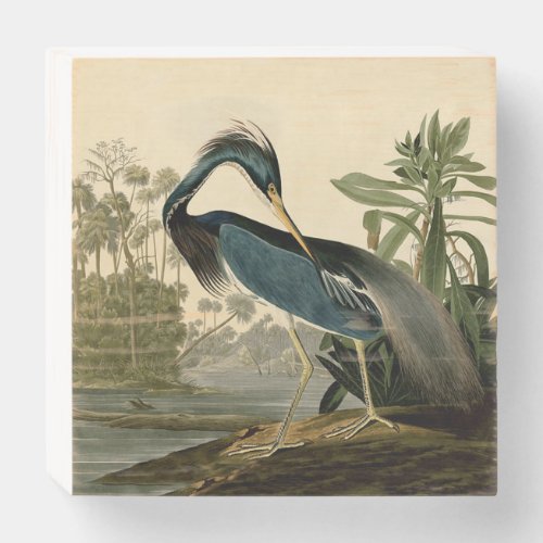 Audubon Louisiana Heron Birds America Art Wooden Box Sign