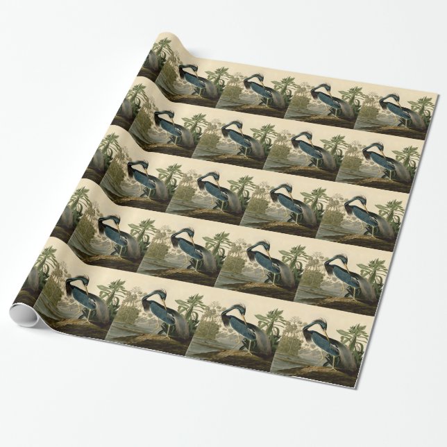 Audubon Louisiana Heron Birds America Art Wrapping Paper (Unrolled)