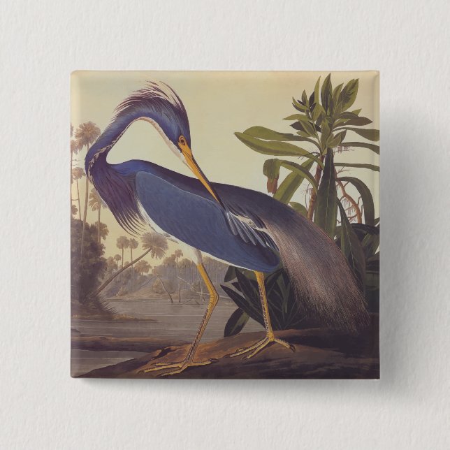 Audubon Lousiana Heron on Coastal Marsh Land Pinback Button (Front)