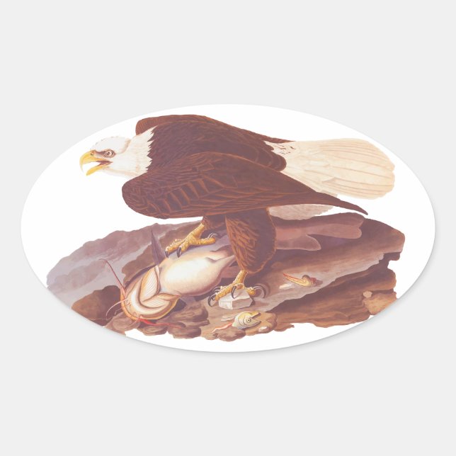 Audubon Majestic Bald Eagle with Fresh Fish Oval Sticker (Front)