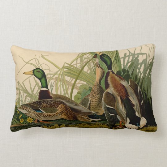 Audubon Mallard Duck Bird Vintage Print Lumbar Pillow Audubon Mallard Duck Bird Vintage Print Lumbar Pillow