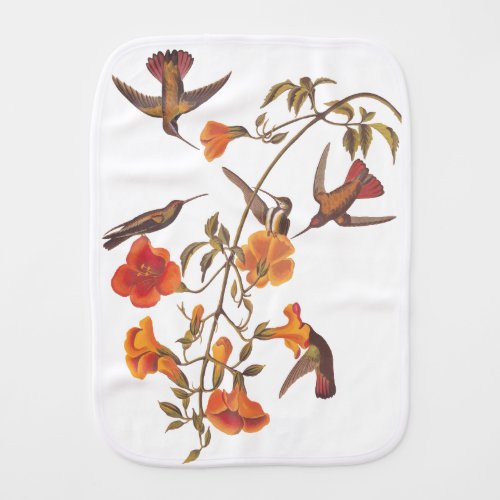 Audubon Mangrove Hummingbird on Trumpet Vine Baby Burp Cloth