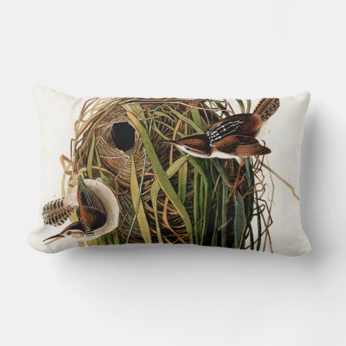 Audubon Marsh Wren Bird Art Lumbar Pillow