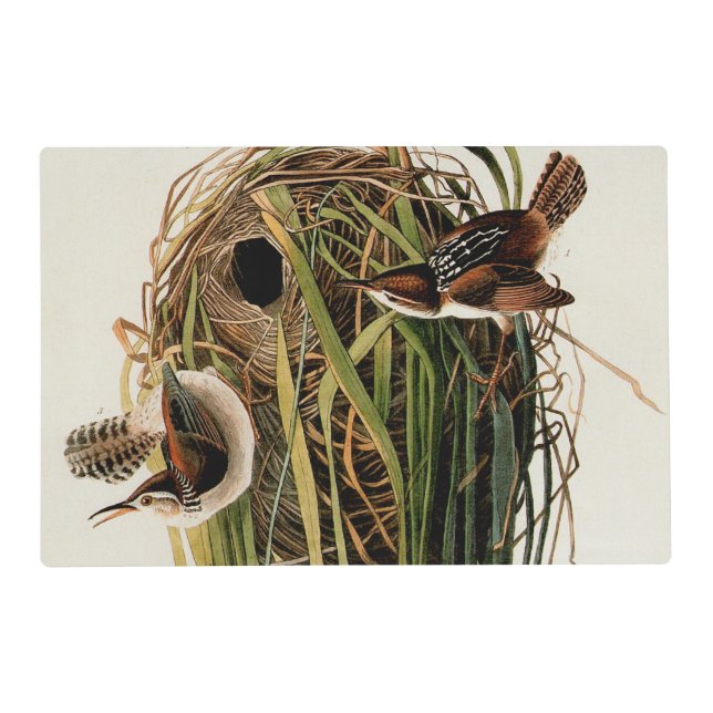 Audubon Marsh Wren Bird Art Placemat (Front)