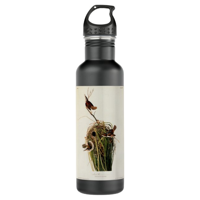 Audubon Marsh Wren Bird Art Water Bottle (Front)