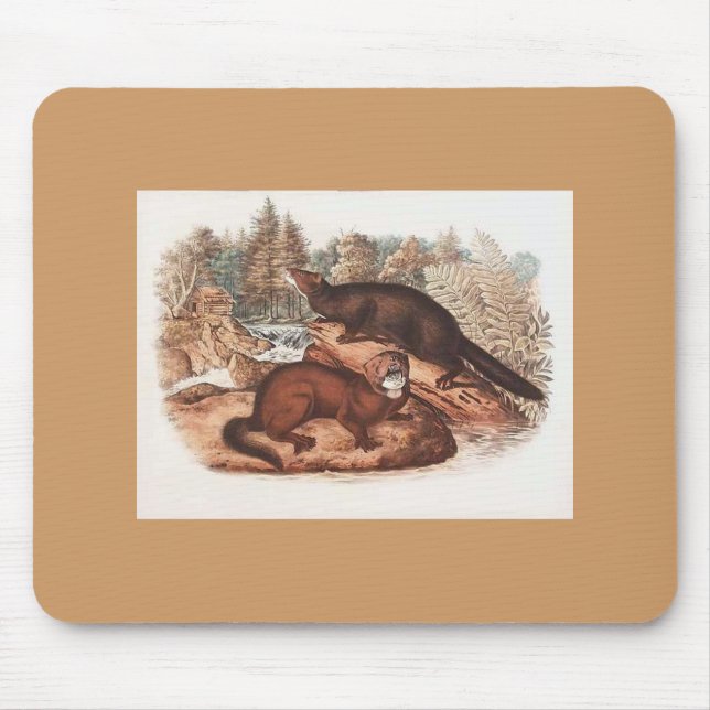 Audubon - Mink Mouse Pad (Front)