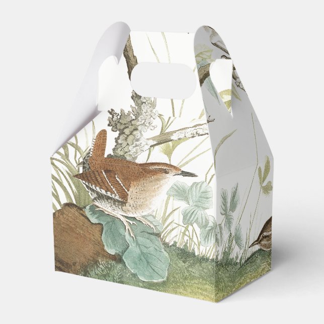 Audubon Nest Wren Birds Wildlife Favor Box (Back Side)