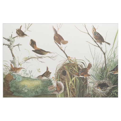 Audubon Nests Wren Birds Wildlife Animal Fabric