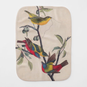 Audubon Painted Bunting Bird Wildlife Baby Burp Cloth