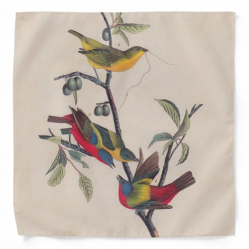 Audubon Painted Bunting Bird Wildlife Bandana