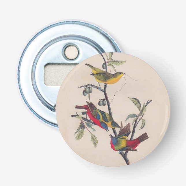 Audubon Painted Bunting Bird Wildlife Bottle Opener (Front)