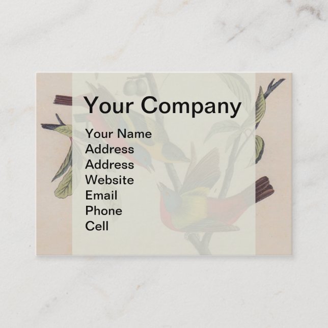 Audubon Painted Bunting Bird Wildlife Business Card (Front)