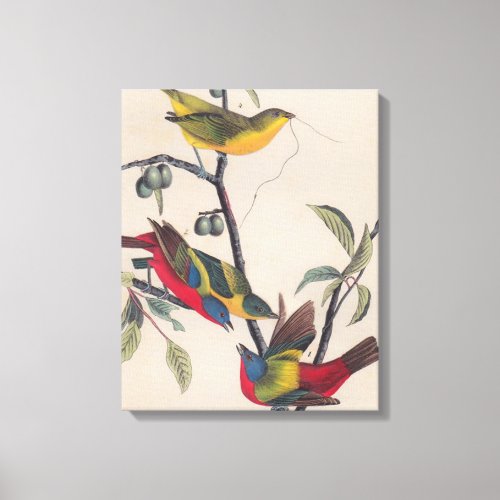 Audubon Painted Bunting Bird Wildlife Canvas Print