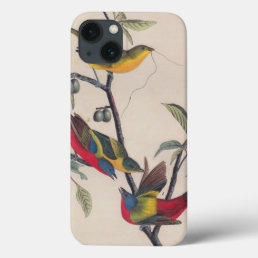 Audubon Painted Bunting Bird Wildlife iPhone 13 Case