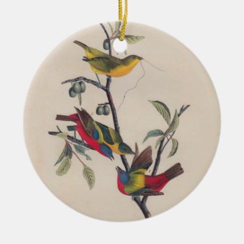 Audubon Painted Bunting Bird Wildlife Ceramic Ornament by antiqueart at Zazzle