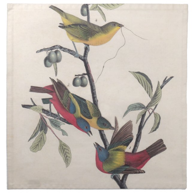 Audubon Painted Bunting Bird Wildlife Cloth Napkin (Front)