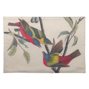 Audubon Painted Bunting Bird Wildlife Cloth Placemat
