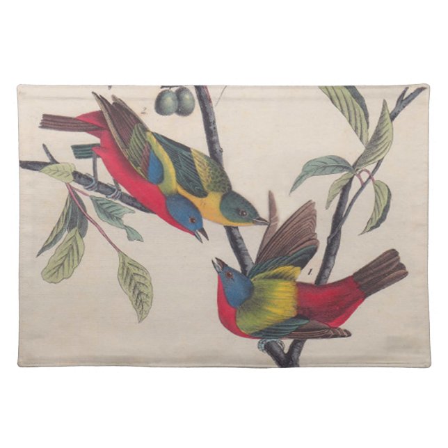 Audubon Painted Bunting Bird Wildlife Cloth Placemat (Front)