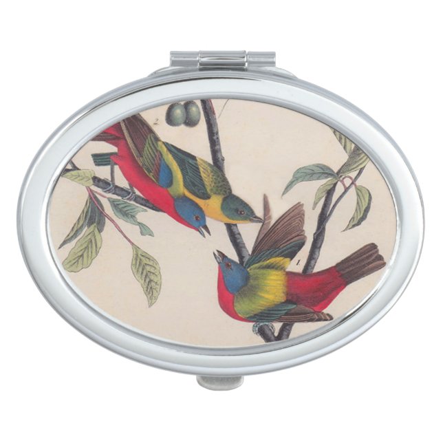 Audubon Painted Bunting Bird Wildlife Compact Mirror (Front)