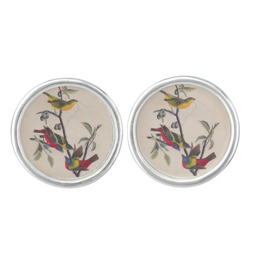 Audubon Painted Bunting Bird Wildlife Cufflinks