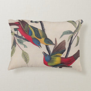 Audubon Painted Bunting Bird Wildlife Decorative Pillow