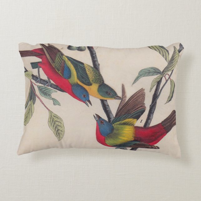 Audubon Painted Bunting Bird Wildlife Decorative Pillow (Back)