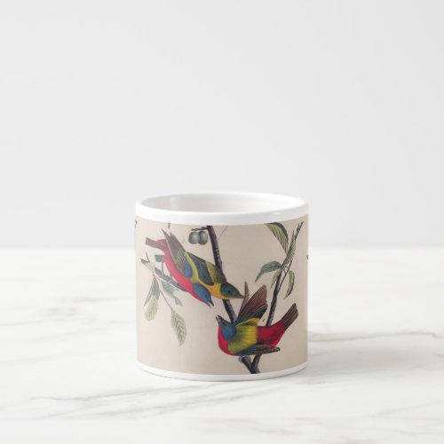 Audubon Painted Bunting Bird Wildlife Espresso Cup