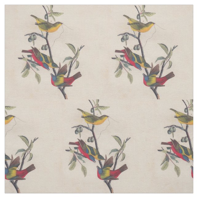 Audubon Painted Bunting Bird Wildlife Fabric (Swatch)