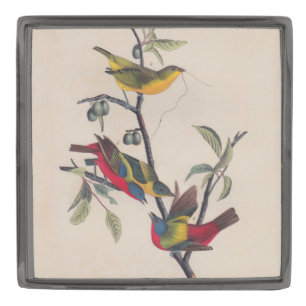 Audubon Painted Bunting Bird Wildlife Gunmetal Finish Lapel Pin