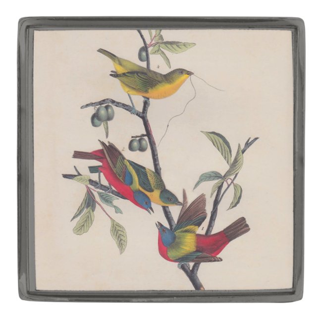 Audubon Painted Bunting Bird Wildlife Gunmetal Finish Lapel Pin (Front)