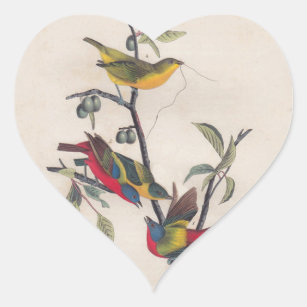 Audubon Painted Bunting Bird Wildlife Heart Sticker