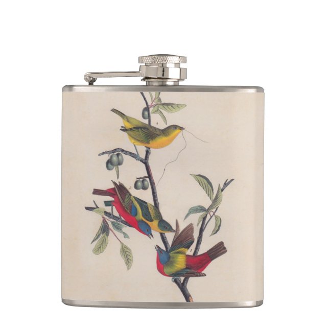 Audubon Painted Bunting Bird Wildlife Hip Flask (Front)