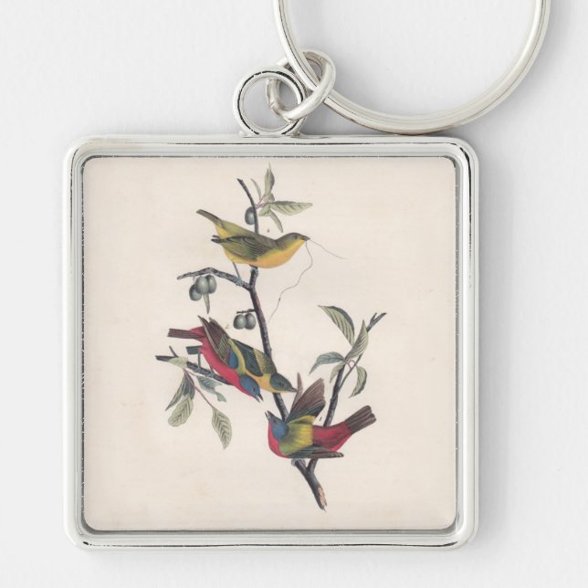 Audubon Painted Bunting Bird Wildlife Keychain (Front)