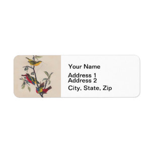 Audubon Painted Bunting Bird Wildlife Label