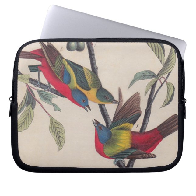 Audubon Painted Bunting Bird Wildlife Laptop Sleeve (Front)