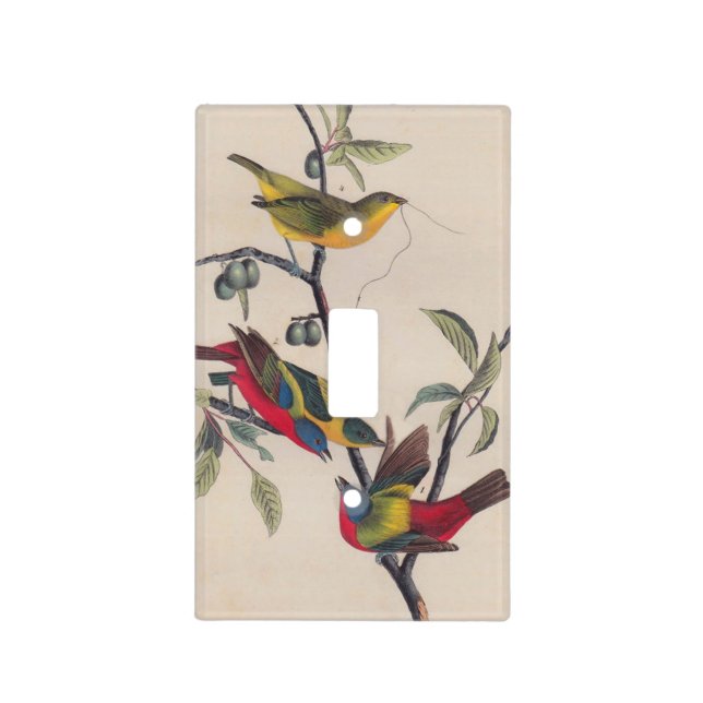 Audubon Painted Bunting Bird Wildlife Light Switch Cover (Front)