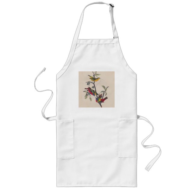 Audubon Painted Bunting Bird Wildlife Long Apron (Front)