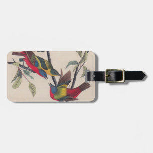 Audubon Painted Bunting Bird Wildlife Luggage Tag