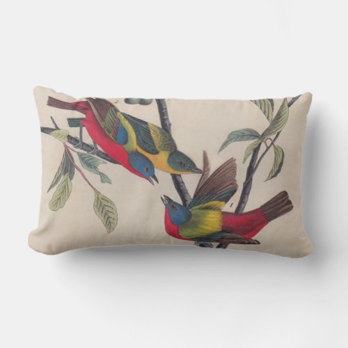 Audubon Painted Bunting Bird Wildlife Lumbar Pillow