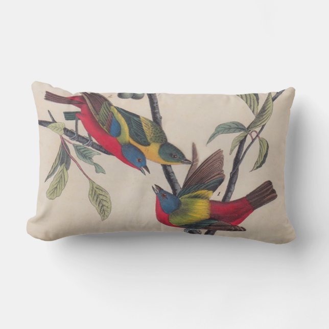Audubon Painted Bunting Bird Wildlife Lumbar Pillow (Front)